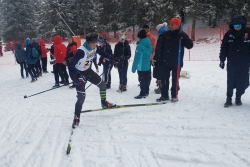 Championnats de France des clubs