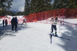 Championnats de France des clubs