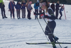 Championnats de France des clubs
