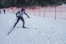 Championnats de France des clubs