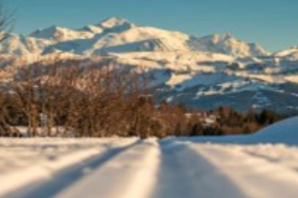 Les activités du club